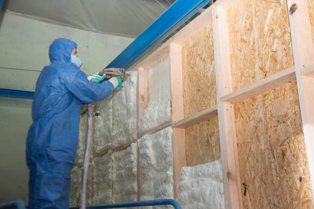 Best Insulation for New Construction  in Perkins, OK